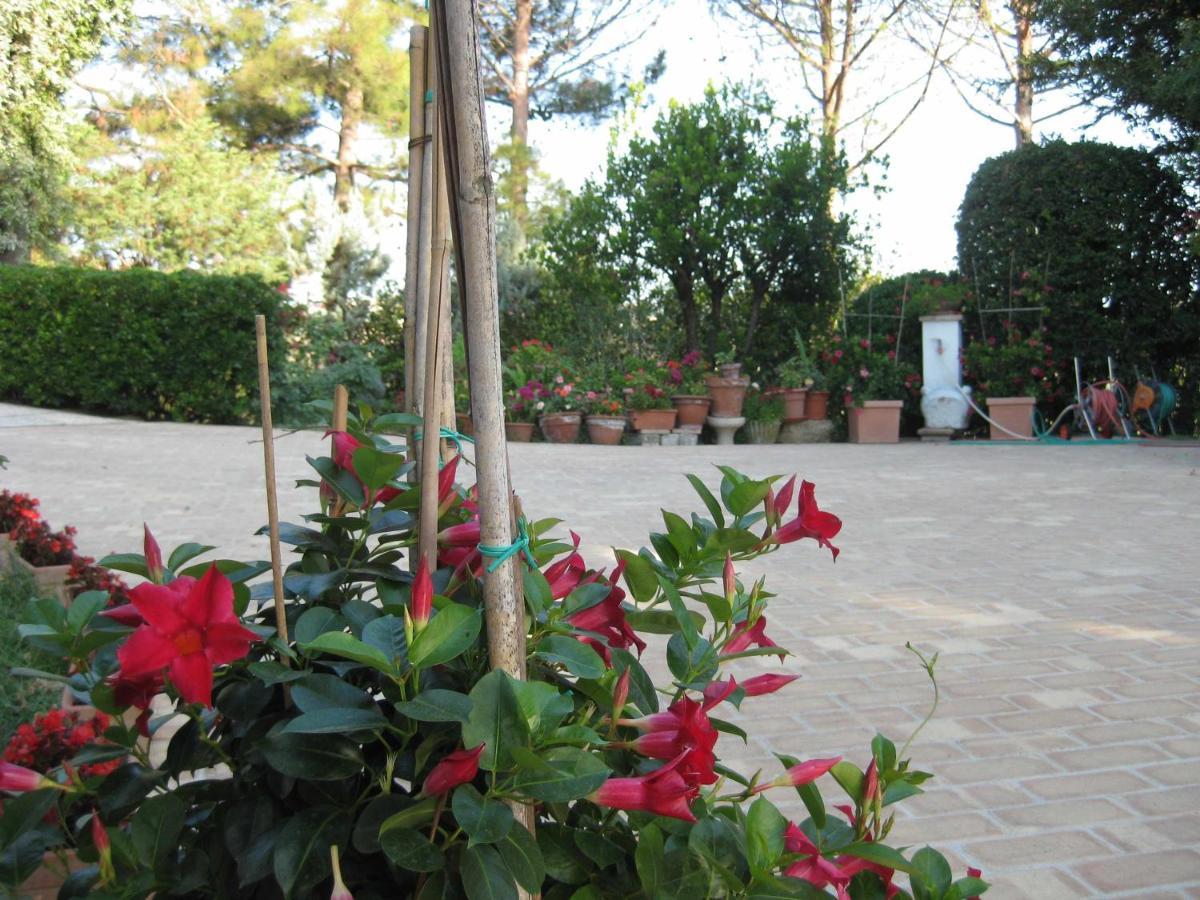 Casa Dei Pini Country House Bed & Breakfast Osimo Luaran gambar