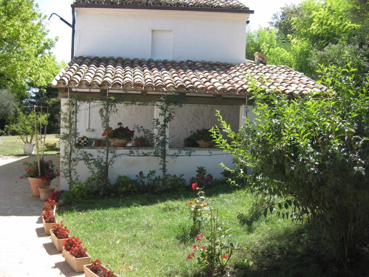 Casa Dei Pini Country House Bed & Breakfast Osimo Luaran gambar